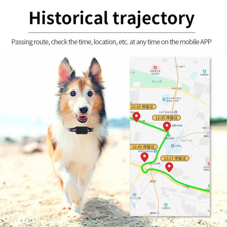 Collar Localizador GPS Inteligente P03 para Mascotas