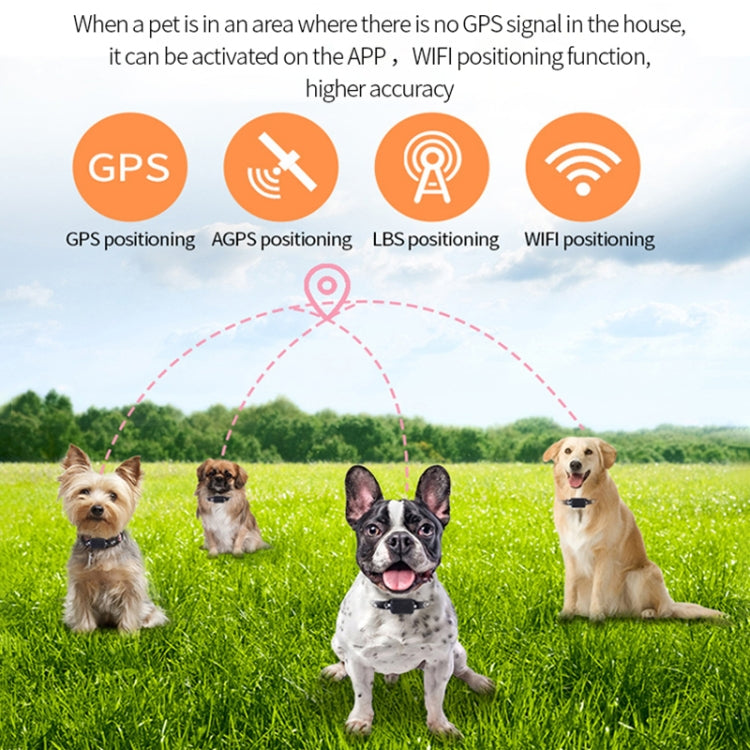 Collar Localizador GPS Inteligente P03 para Mascotas