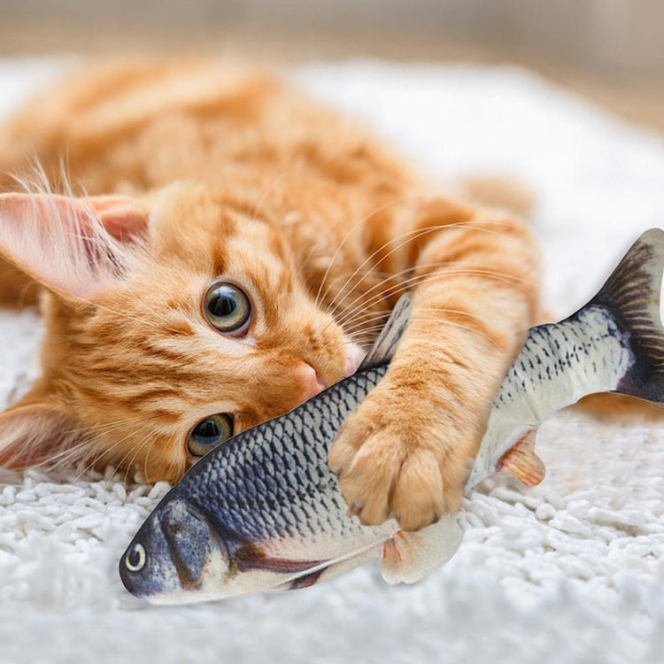 Juguete interactivo de gato eléctrico con pez de simulación de mascotas con carga USB, tamaño: 30cn, Size: 30cm (Black Grass Carp), Size: 30cm (Salmon), Size: 30cm (Red Carp)