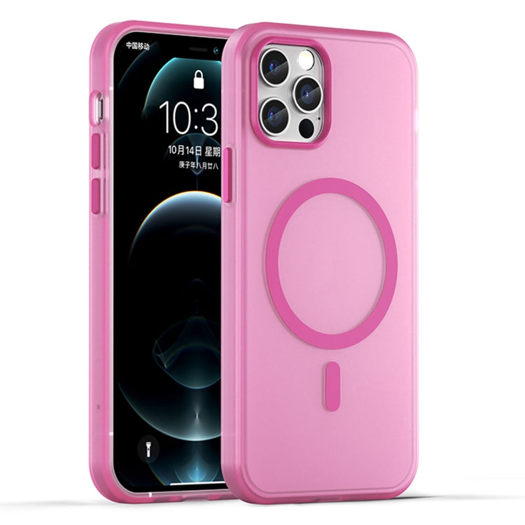 Estuche para teléfono de cobertura total de TPU + PC translúcido esmerilado MagSafe, For iPhone 12 Pro Max, For iPhone 12 Pro, For iPhone 11 Pro Max, For iPhone 11, For iPhone 11 Pro