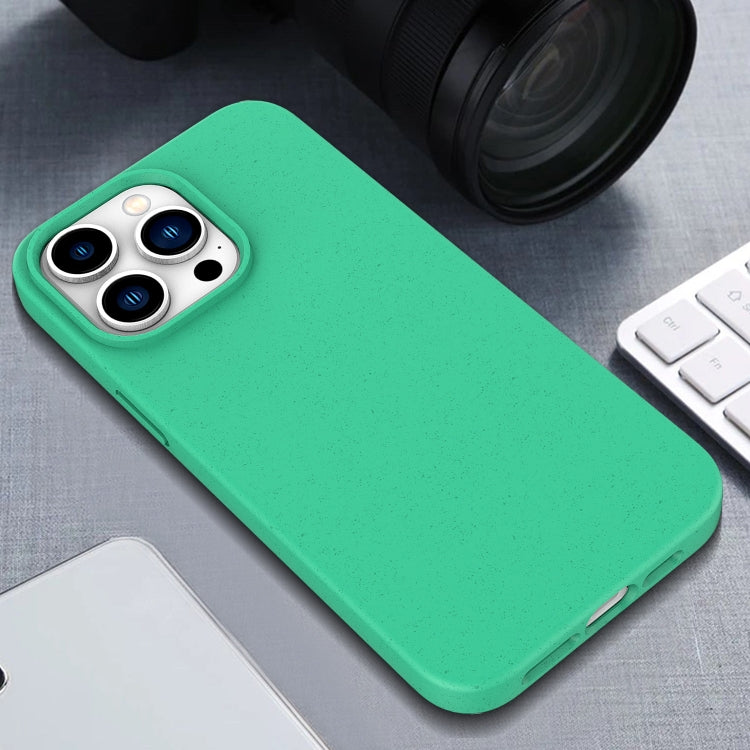 Funda de TPU para teléfono con paja de trigo, For iPhone 18, For iPhone 18 Pro, For iPhone 18 Pro Max, For iPhone 17e / 16e, For iPhone 17 Pro Max, For iPhone 17 Pro