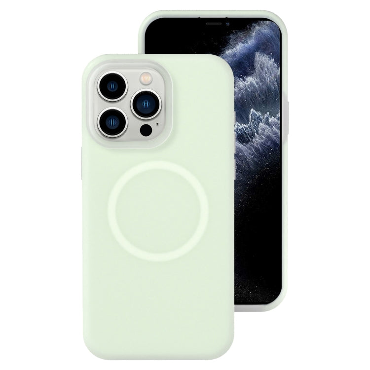 Funda magnética para teléfono con silicona líquida Jelly MagSafe, For iPhone 11, For iPhone 11 Pro