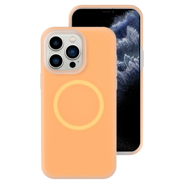 Funda magnética para teléfono con silicona líquida Jelly MagSafe, For iPhone 11, For iPhone 11 Pro
