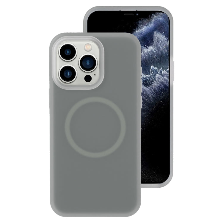 Funda magnética para teléfono con silicona líquida Jelly MagSafe, For iPhone 11, For iPhone 11 Pro