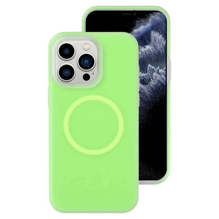 Funda magnética para teléfono con silicona líquida Jelly MagSafe, For iPhone 11, For iPhone 11 Pro