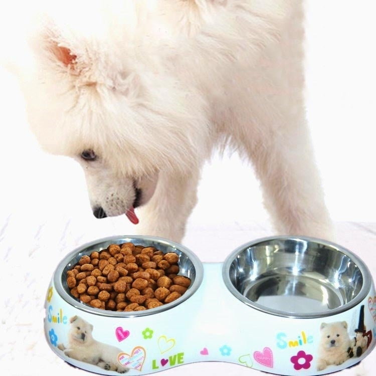 Cuencos dobles desmontables impermeables de acero inoxidable con estampado de dibujos animados, cuencos para mascotas para perros y gatos, tamaño: L, 30,5*16*5,5 cm
