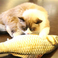 Juguete de pez de simulación, juguete divertido para gato, material de pez, tablero de poste rascador, tamaño pequeño: 21,5 x 8,0 x 5,0 cm, Size: 21.5x8.0x5.0cm
