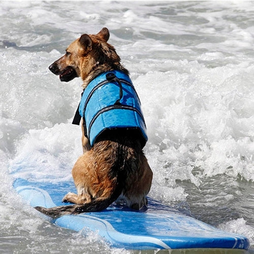 Chaleco salvavidas con rayas reflectantes para perros Pet Saver para nadar, navegar, surfear, tamaño: S, Size: S