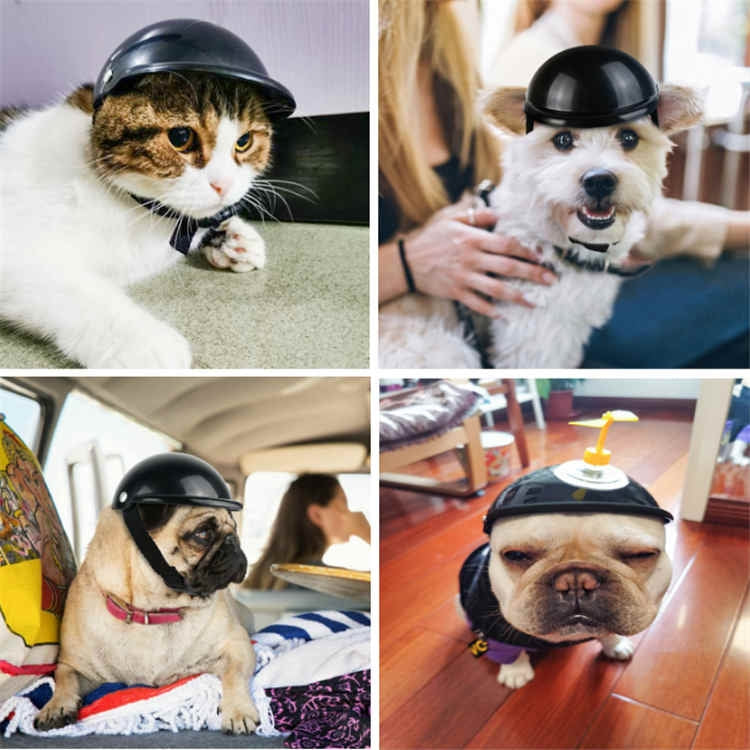 Casco para mascotas locomotora Lelmet accesorios para perros y gatos, S, M