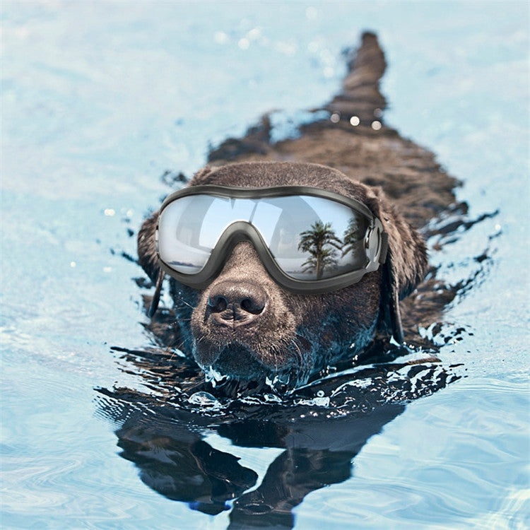 Gafas para mascotas, gafas para perros grandes, impermeables, a prueba de viento, protector solar, protección UV, Sunscreen UV Glasses
