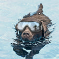 Gafas para mascotas, gafas para perros grandes, impermeables, a prueba de viento, protector solar, protección UV, Sunscreen UV Glasses