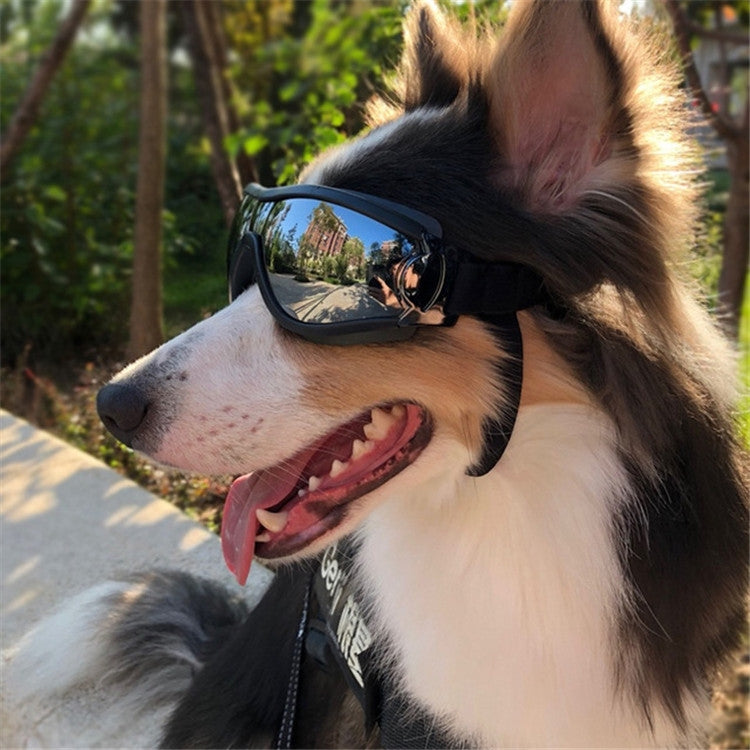 Gafas para mascotas, gafas para perros grandes, impermeables, a prueba de viento, protector solar, protección UV, Sunscreen UV Glasses