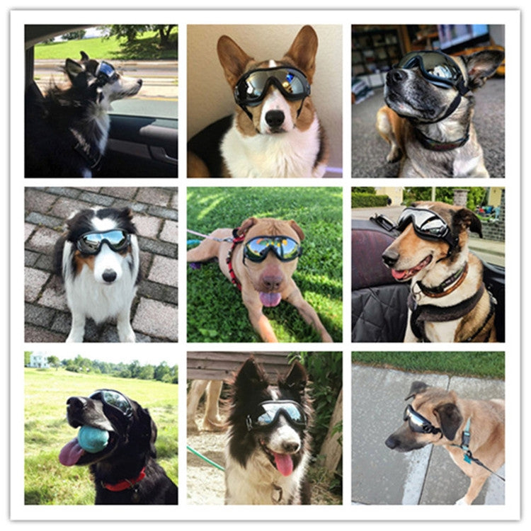 Gafas para mascotas, gafas para perros grandes, impermeables, a prueba de viento, protector solar, protección UV, Sunscreen UV Glasses