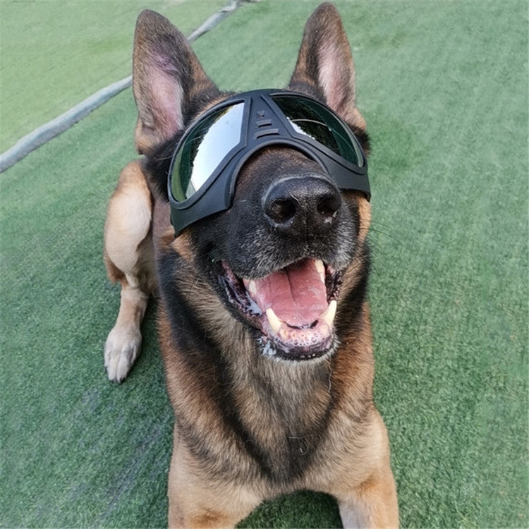 Gafas con máscara para mascotas, gafas de montura suave impermeables y a prueba de nieve, suministros para perros, gafas de sol