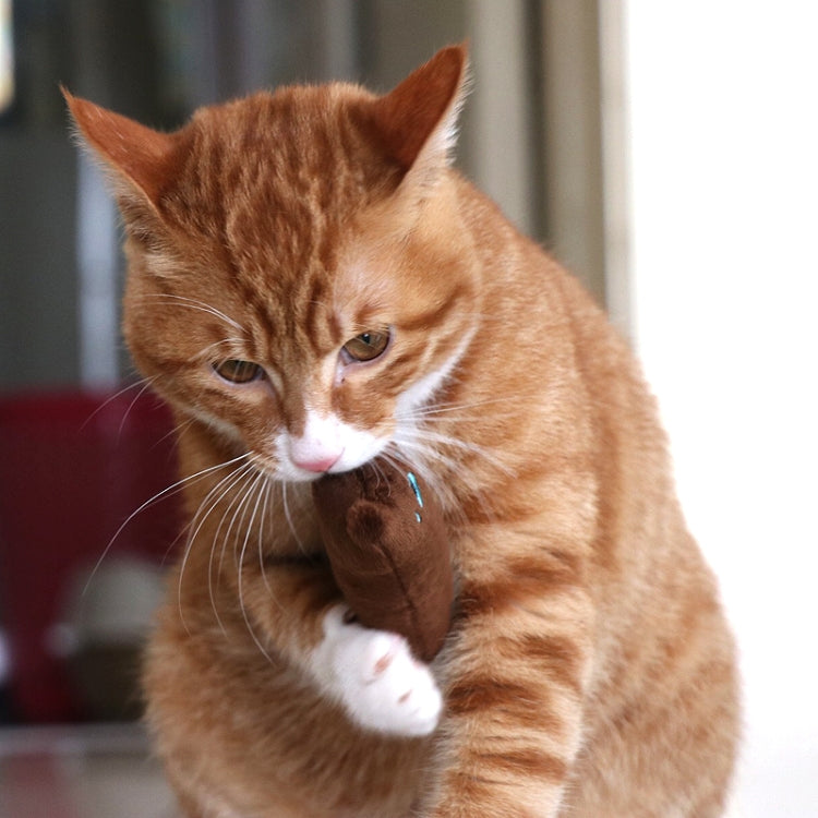 2 uds., juguetes con hierba gatera para rechinar los dientes, divertido juguete interactivo de peluche para gatos, gatitos y mascotas, juguete para masticar, garras, mordedura de pulgar, menta para gatos