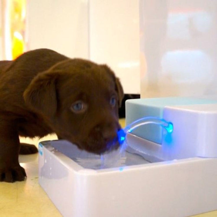 Dispensador automático de agua para mascotas, alimentador para perros de circulación General para perros de peluche y gatos, UK