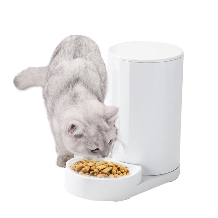 Dispensador automático de agua para gatos, cuenco de agua potable, comedero para perros, Drinking Fountain, Feeder, Drinking Fountain + Feeder