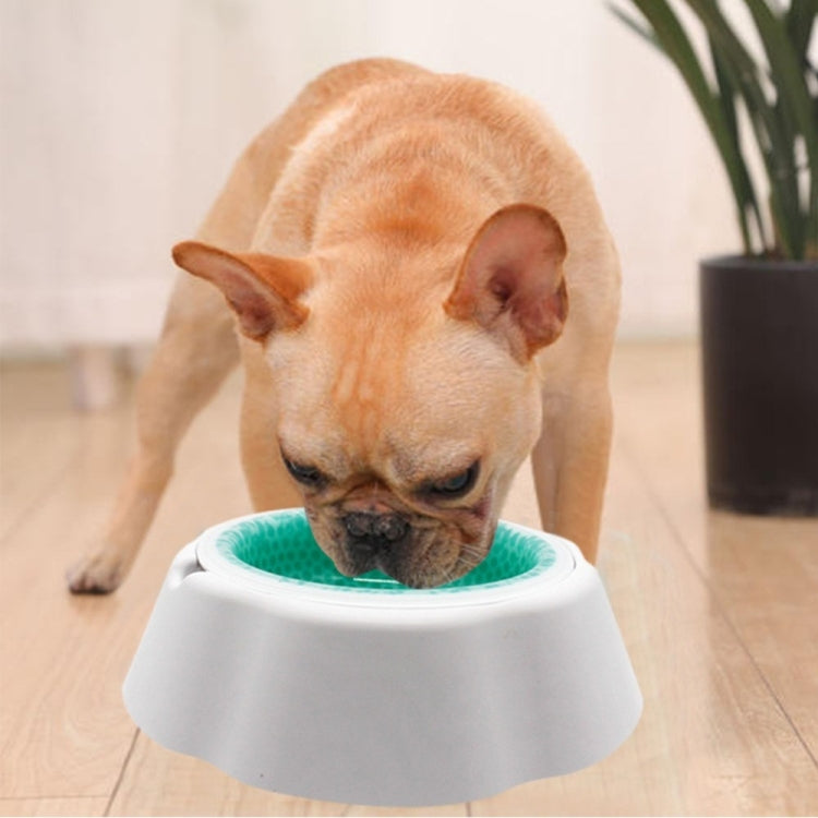Tazón de comida para mascotas, velocidad de enfriamiento, tazón frío, Speed Cold Bowl