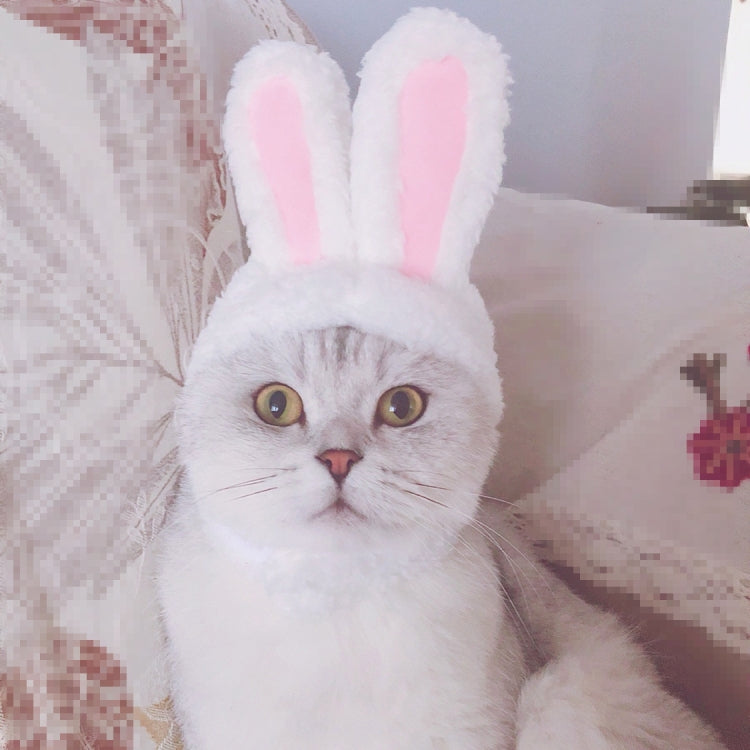Precioso sombrero para mascotas con orejas de conejo y gato, Lovely Rabbit Ear Headgear