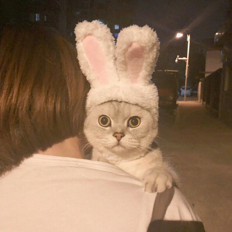Precioso sombrero para mascotas con orejas de conejo y gato, Lovely Rabbit Ear Headgear