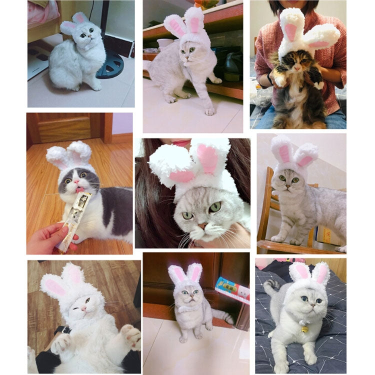 Precioso sombrero para mascotas con orejas de conejo y gato, Lovely Rabbit Ear Headgear
