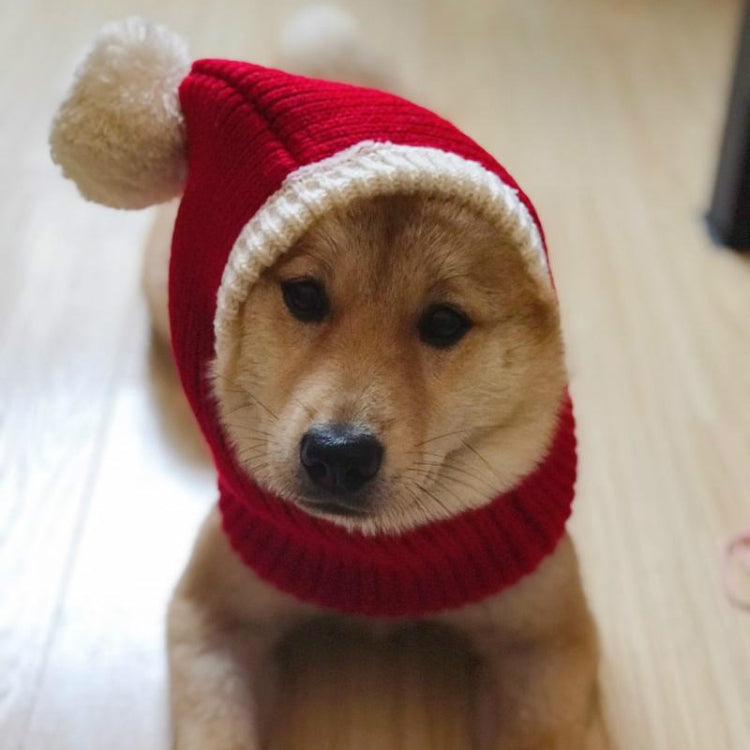 Gorro navideño de lana para otoño e invierno para mascotas, XS, L, XL