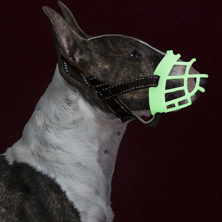 Cubierta fluorescente para la boca del perro, máscaras para mascotas, antimordeduras y tapones para ladridos, suministros para mascotas, Number 1, Number 2, Number 3, Number 4, Number 5