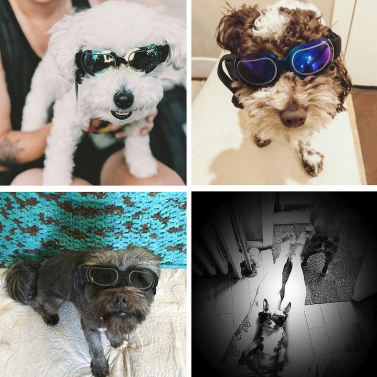 Gafas para perros Gafas de sol Gafas para mascotas