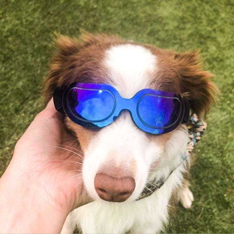 Gafas para perros Gafas de sol Gafas para mascotas