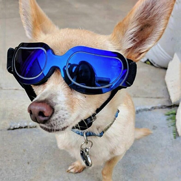 Gafas para perros Gafas de sol Gafas para mascotas