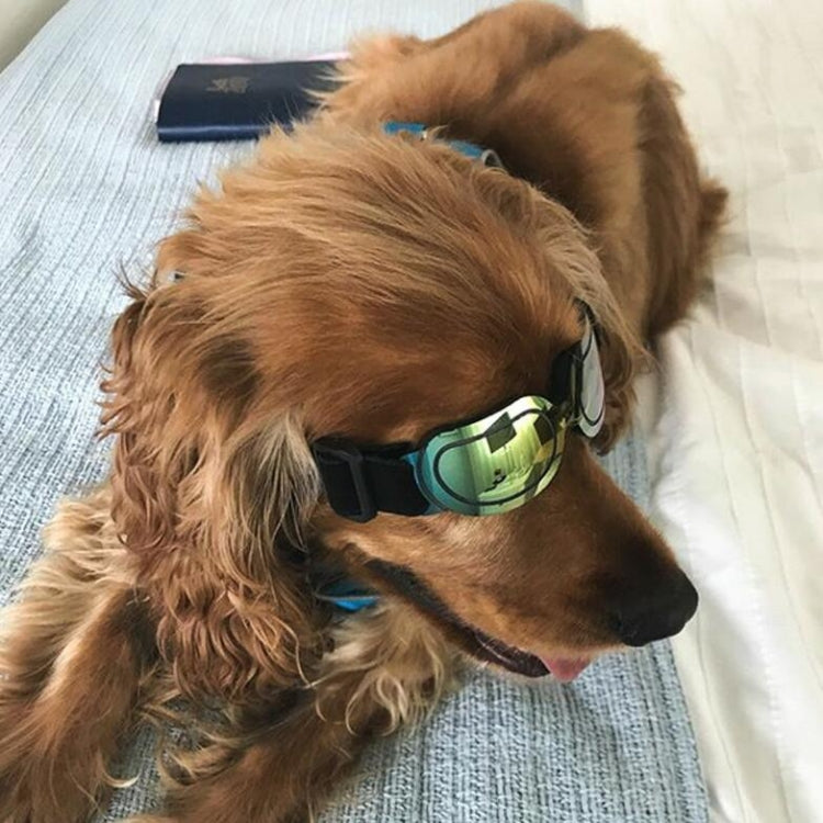 Gafas para perros Gafas de sol Gafas para mascotas