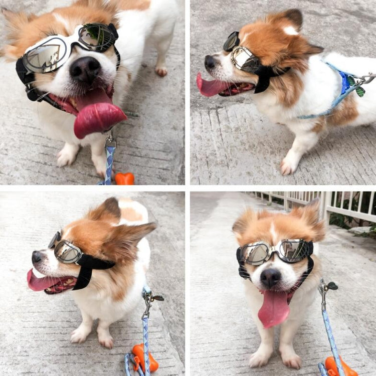 Gafas para perros Gafas de sol Gafas para mascotas