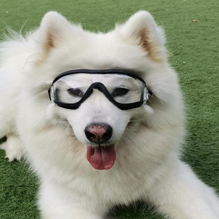 Gafas para mascotas, gafas transparentes para perros, gafas impermeables a prueba de viento y nieve para perros, Transparent Glasses