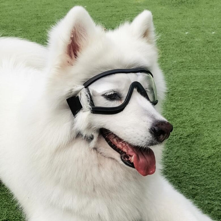 Gafas para mascotas, gafas transparentes para perros, gafas impermeables a prueba de viento y nieve para perros, Transparent Glasses
