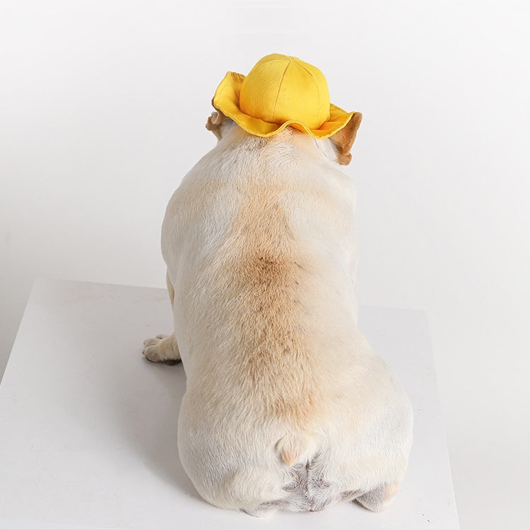 2 PCS Perro ?? Sombrero Verano Fresco Foto Decoración Mascota Gato Sombrero para el sol, S, M