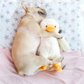 Juguete para morder para perros Hoopet, juguete con sonido de patito de peluche para mascotas, Small