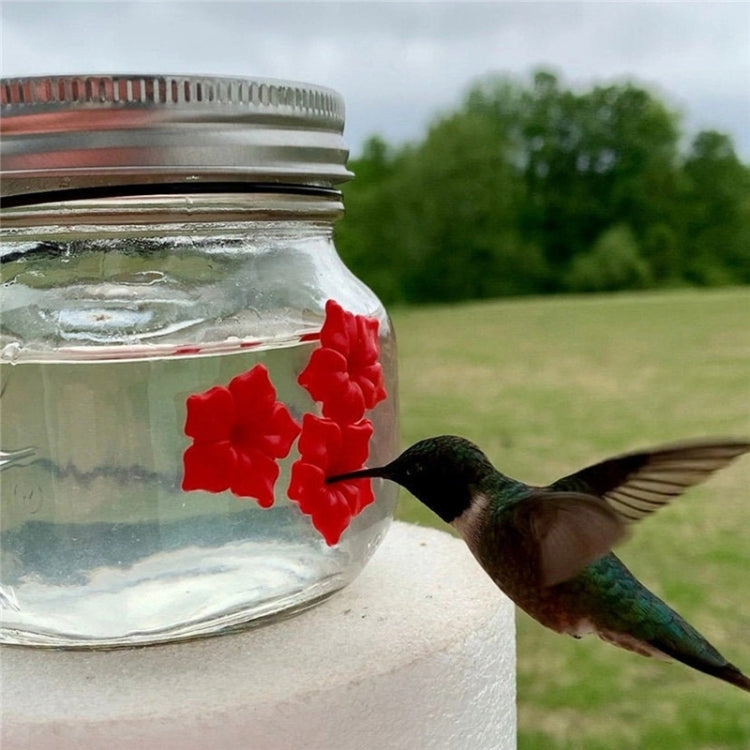 Comedero colgante para pájaros Comedero para colibríes al aire libre, Jar, Bulb