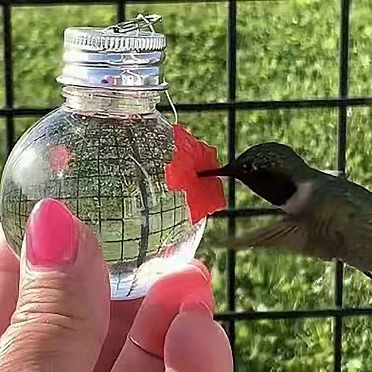 Comedero colgante para pájaros Comedero para colibríes al aire libre, Jar, Bulb