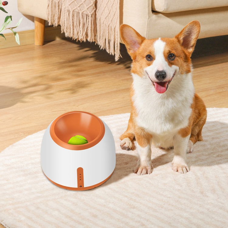 CWFQQ-1 Lanzador de pelotas de tenis Perros Juguetes interactivos, Adaptador:, US Plug, EU Plug