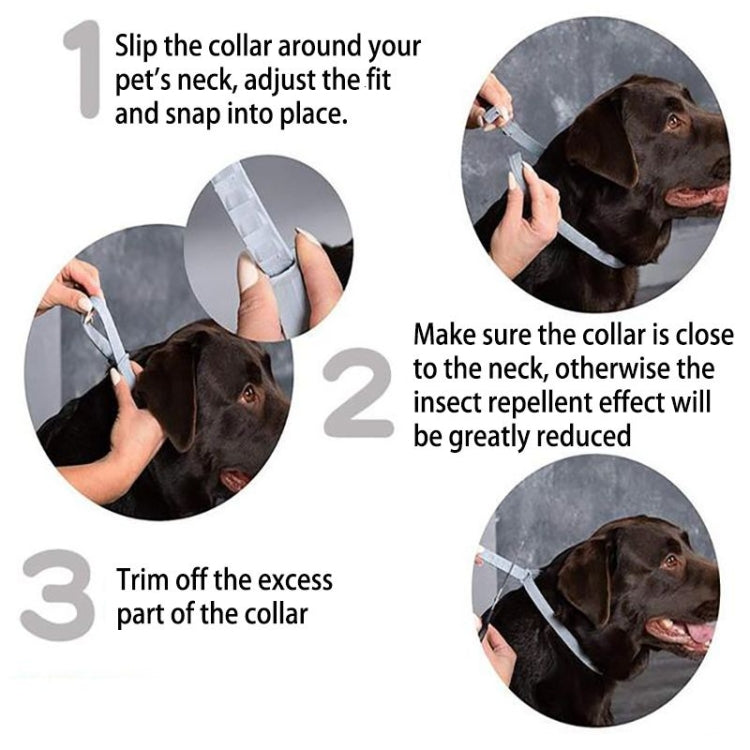 Collar antipulgas y garrapatas para perros y gatos con estuche de aluminio, 72cm Gray, 72cm Orange, 72cm Blue, 38cm Orange, 38cm Pink, 38cm Blue