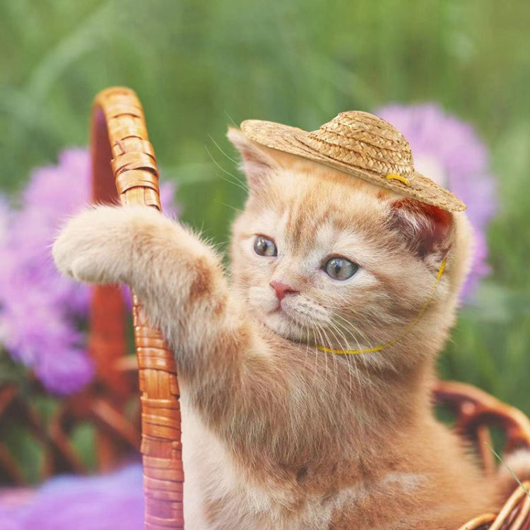Mini sombrero de paja para mascotas, sombrero con visera para el sol para fiestas de cumpleaños de perros y gatos, S 10cm, M 13cm, L 16cm, XL 20cm