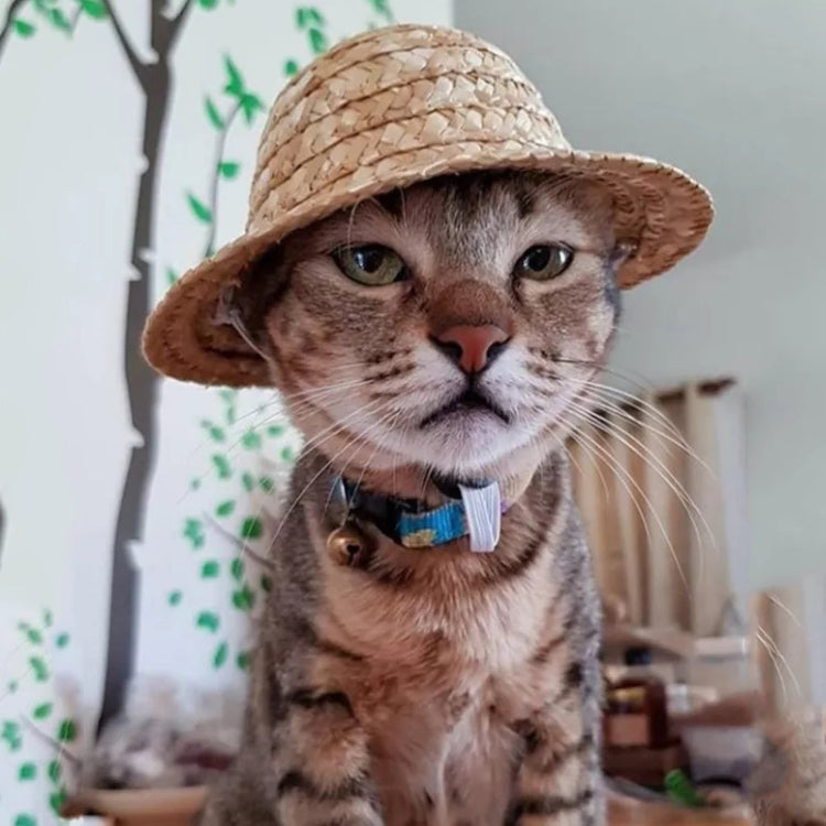 Mini sombrero de paja para mascotas, sombrero con visera para el sol para fiestas de cumpleaños de perros y gatos, S 10cm, M 13cm, L 16cm, XL 20cm